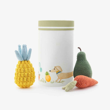 Organic Veggie Toys Bundle next to cylinder box on white background