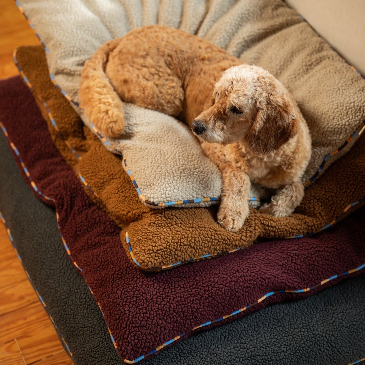 Dog lying on a plush brown and beige pet bed