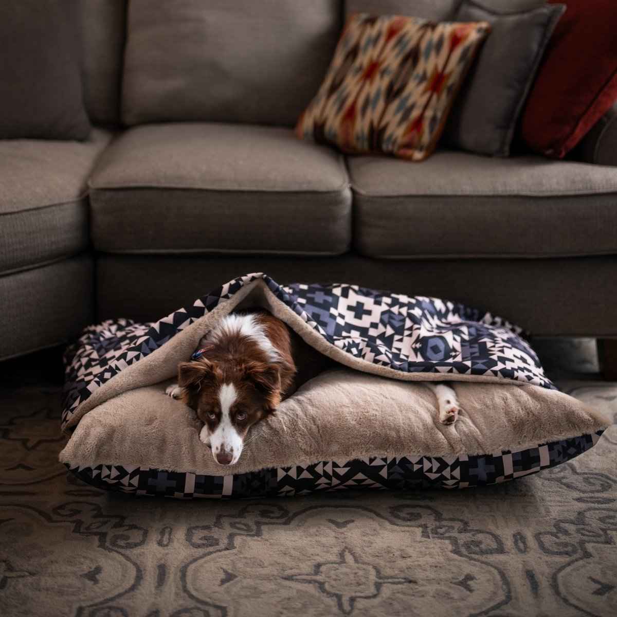 Pendleton Burrow Bed in blue and black design with tan interior with brown and white dog inside sitting in front of living room couch
