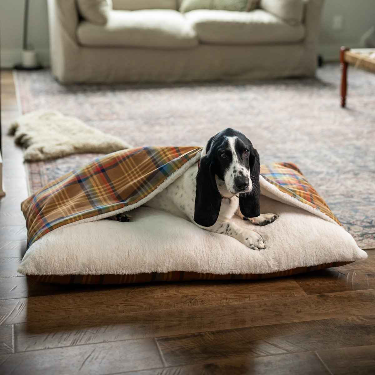 Pendleton Burrow Bed in orange plaid with black and white dog inside in living room