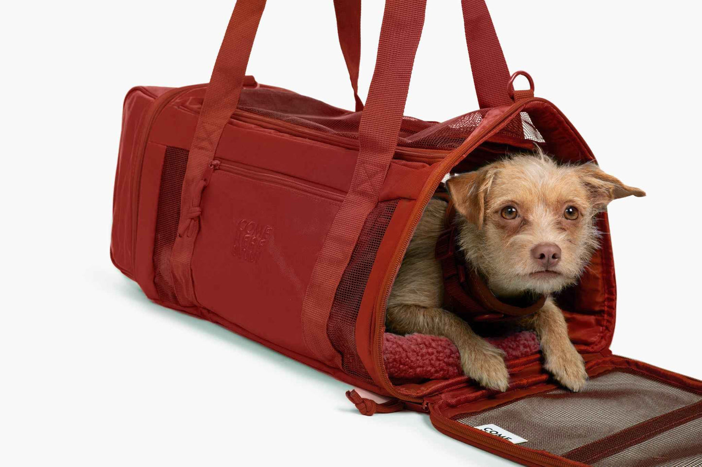 Travel Buddy - dog carrier in red with small brown dog