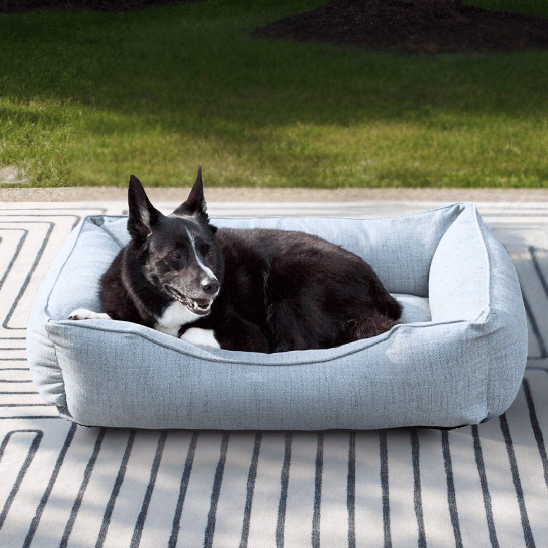 Dog lying on a blue pet bed outside