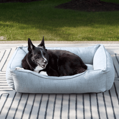Dog lying on a blue pet bed outside