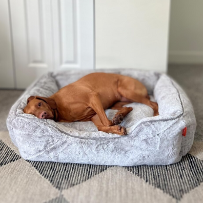 The Sammy Dog Bed with brown dog