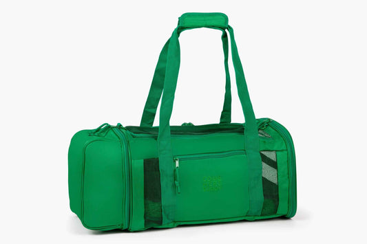 Travel Buddy - dog carrier in green